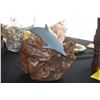Image 4 : COAT HANGER W/DOLPHIN & SHELL MOTIF & DOLPHIN SCULPTURE W/BURL WOOD BASE (2 PCS)