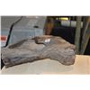 Image 2 : PETRIFIED WOOD PIECES (3 PCS) (DOES NOT INCLUDE STAND)
