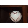 Image 8 : BASEBALLS W/DISPLAY CASE (8 PCS)