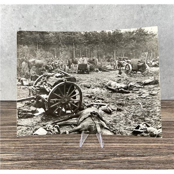 WW2 WWII Battle Of Tuchola Forest Poland Photo
