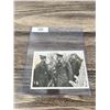 Image 3 : 1939 Hitler Visits Western Front Photo