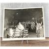 Image 1 : German Students Burning Jewish Books Photo
