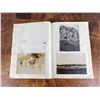 Image 8 : WW1 WWI Eastern Europe Photo Album