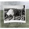 Image 1 : Hitler Inspecting Armored Train Photo