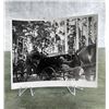 Image 1 : Hermann Goering & Wife Photo