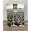 Image 1 : SS Formations At Nuremberg Rally Photo