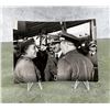 Image 1 : Hitler & Franco On Spanish Border Photo