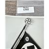 Image 4 : NSDAP Pennant Flag Photo