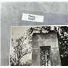 Image 3 : November 1918 Monument Photo