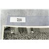Image 4 : Adolf Hitler Watches SA Torch Parade Photo