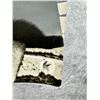Image 2 : Adolf Hitler Eva Braun Photo