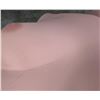 Image 7 : Antique Lingerie Torso Mannequin