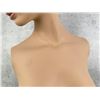 Image 8 : Antique Lingerie Torso Mannequin