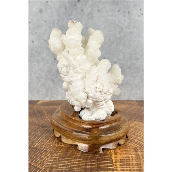 Chinese White Coral Aragonite Mineral Specimen