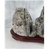 Image 7 : Chinese Ying Scholar Viewing Stone