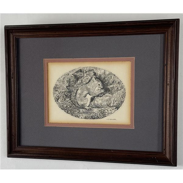 Liz Walker Etching Of Squirrel