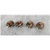 Image 1 : Set Of Carved Tiger Cowrie Shell Napkin Rings