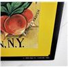Image 2 : Sunrise Seeds Metal Sign