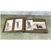 Image 3 : Antique Photo Album California Niagara Falls