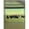 Image 5 : Plastichrome Peek Post Cards