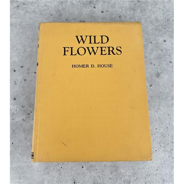 Wild Flowers