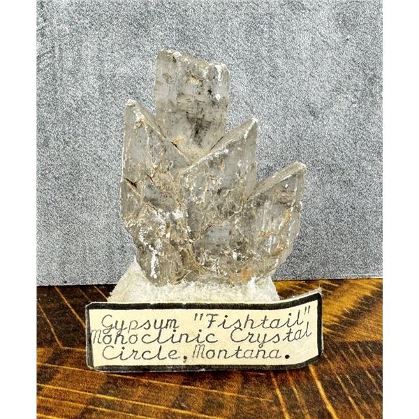 Fishtail Gypsum Monoclinic Crystal Montana