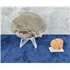 Image 2 : Druzy Geodes