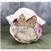 Image 4 : German Porcelain Humidor