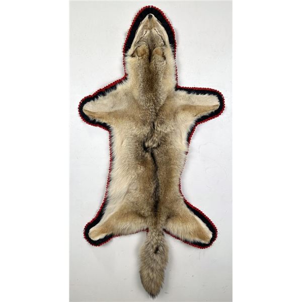 Taxidermy Montana Coyote Rug