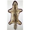 Image 1 : Taxidermy Montana Coyote Rug