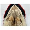 Image 2 : Taxidermy Montana Coyote Rug
