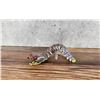 Image 1 : 3D Printed Articulated Rattlesnake