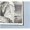 Image 2 : Tom Patchett Engraving
