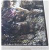 Image 2 : Ramon Kelley Pastel Drawing