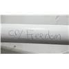 Image 4 : Cry Freedom Movie Poster