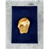 Image 2 : Montana Bull Elk Tooth