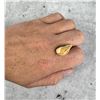 Image 1 : Montana Bull Elk Tooth