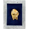 Image 2 : Montana Bull Elk Tooth