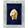 Image 3 : Montana Bull Elk Tooth