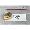 Image 4 : Montana Bull Elk Tooth