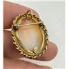 Image 3 : 12k Gold Filled Shell Cameo Brooch