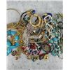 Image 3 : Collection of Costume Jewelry