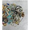 Image 4 : Collection of Costume Jewelry