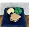 Image 3 : Collection of Mini Steiff Animals