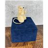 Image 1 : Steiff Pieps the Begging Mouse
