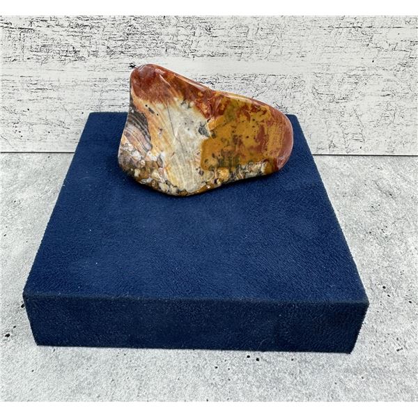 Arizona Rainbow Petrified Wood