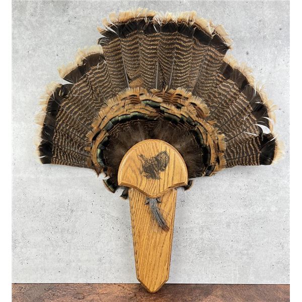 Taxidermy Turkey Feather Tail Fan