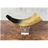Image 2 : Custom Made Frontier Powder Horn