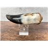 Image 5 : Custom Made Frontier Powder Horn