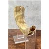 Image 5 : Custom Made Frontier Powder Horn